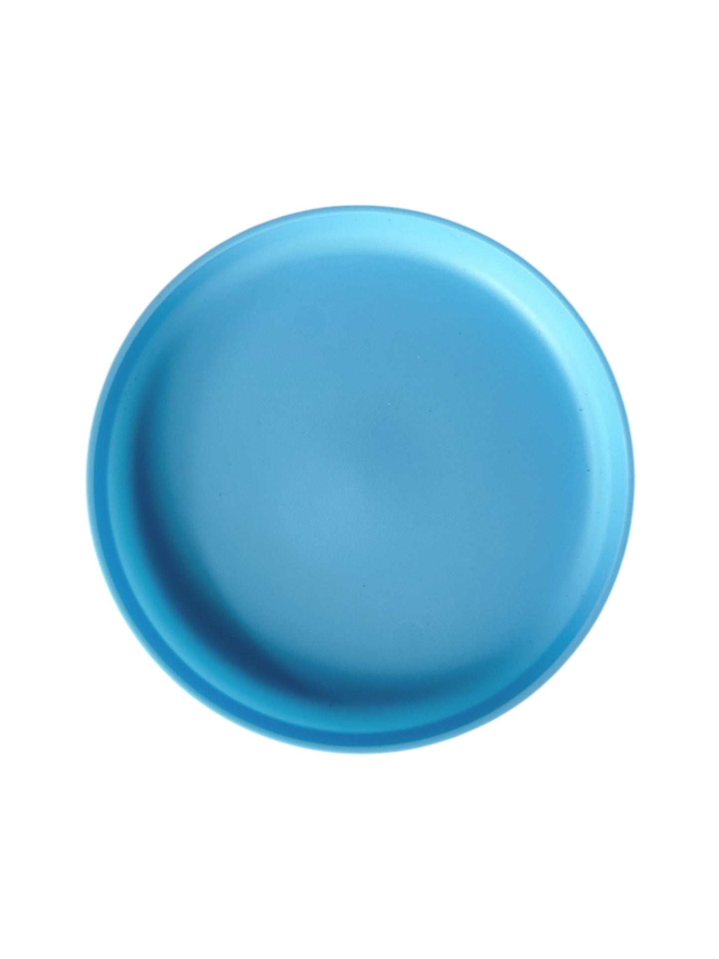 Blue Plastic Lunch Plate