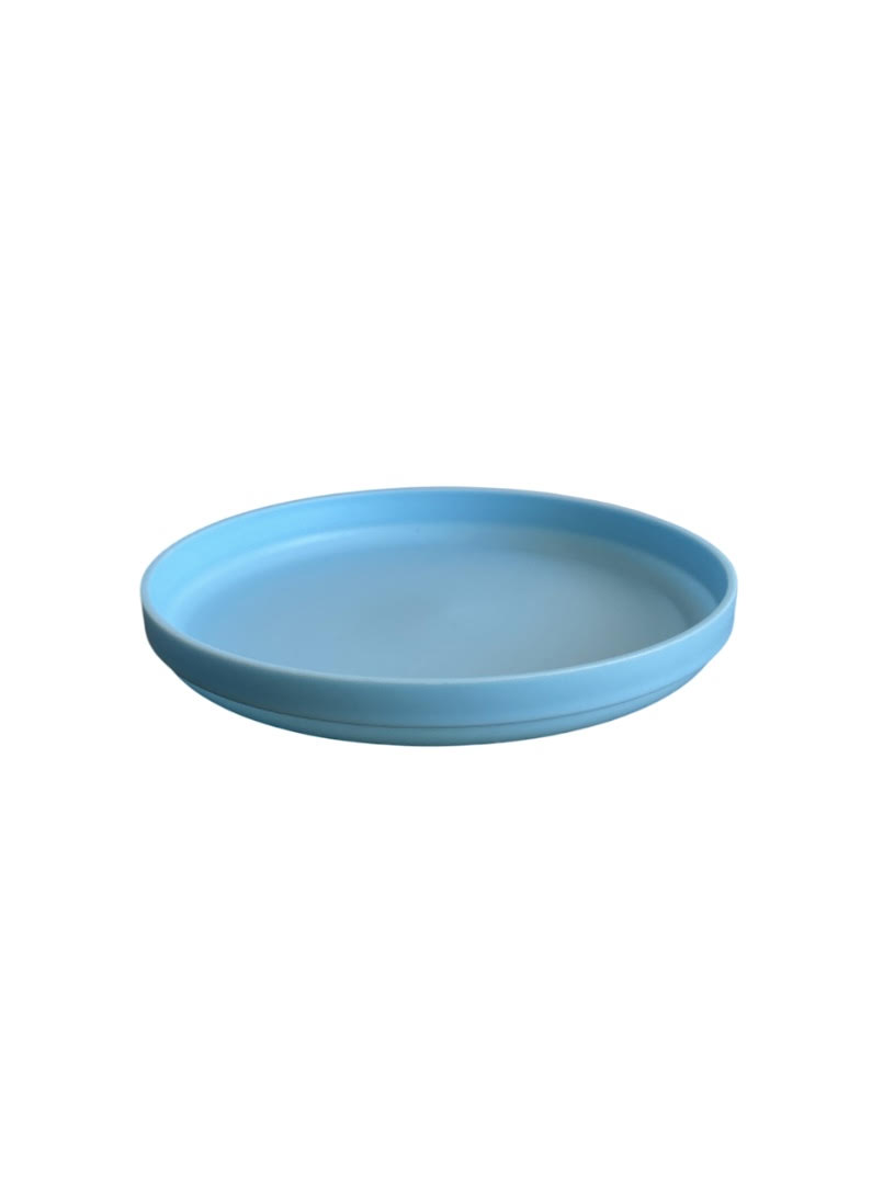 Blue Plastic Lunch Plate