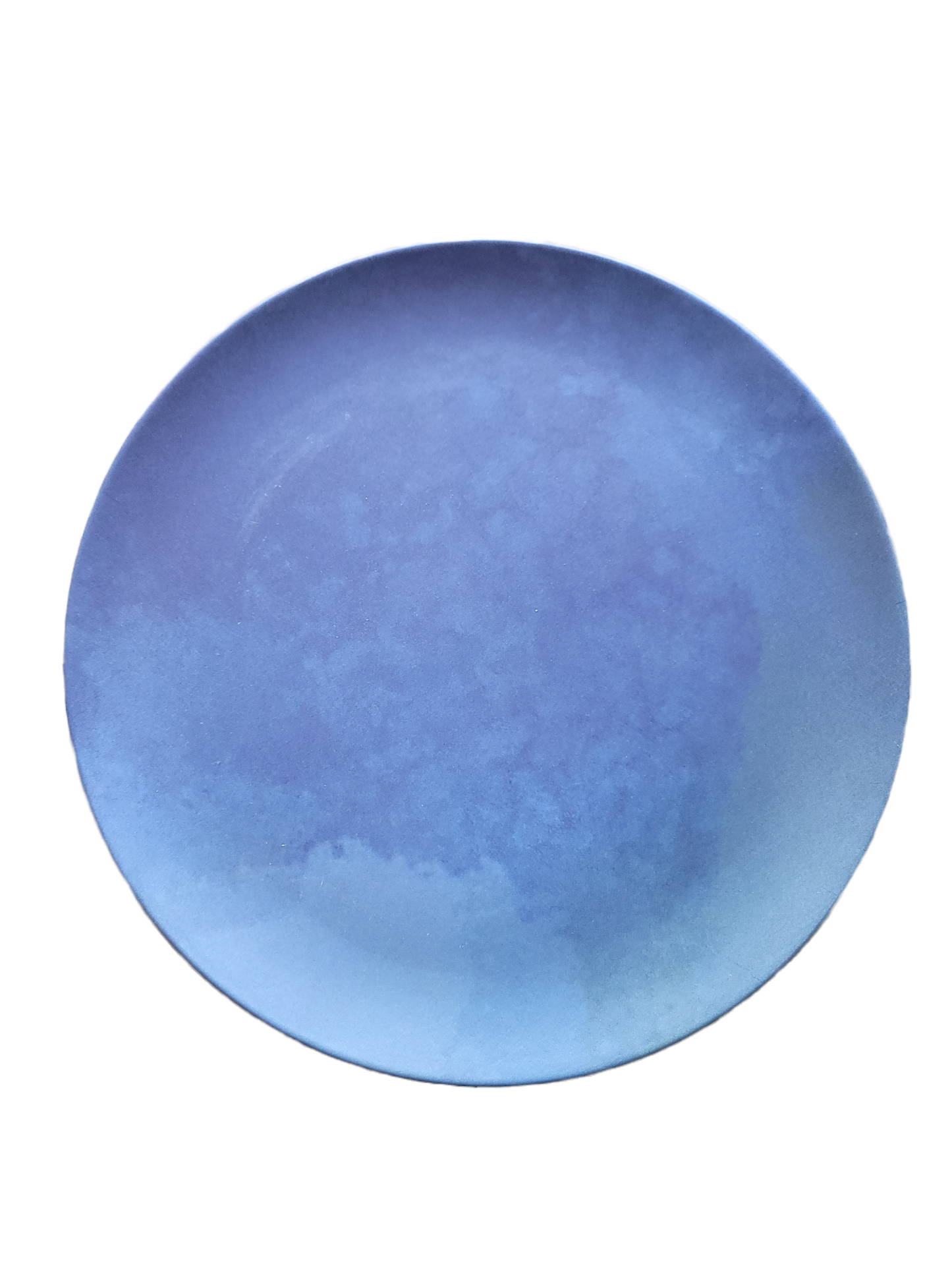 Blue Melamine Dinner Plate