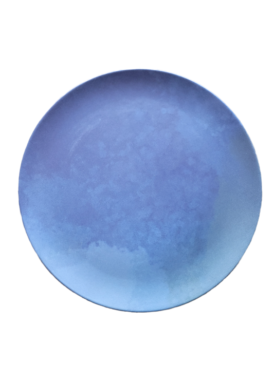 Blue Melamine Dinner Plate