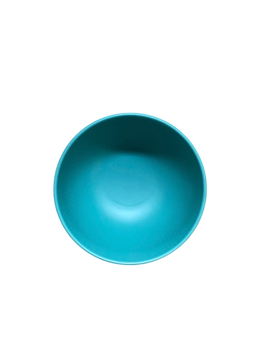 Blue Plastic Bowl