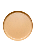 Orange sherbert tone melamine dinner plate