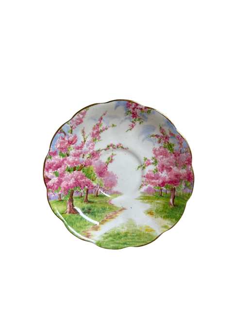 Pink Vintage Saucer