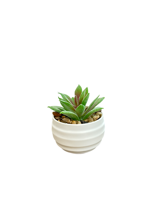 Small Table Plant