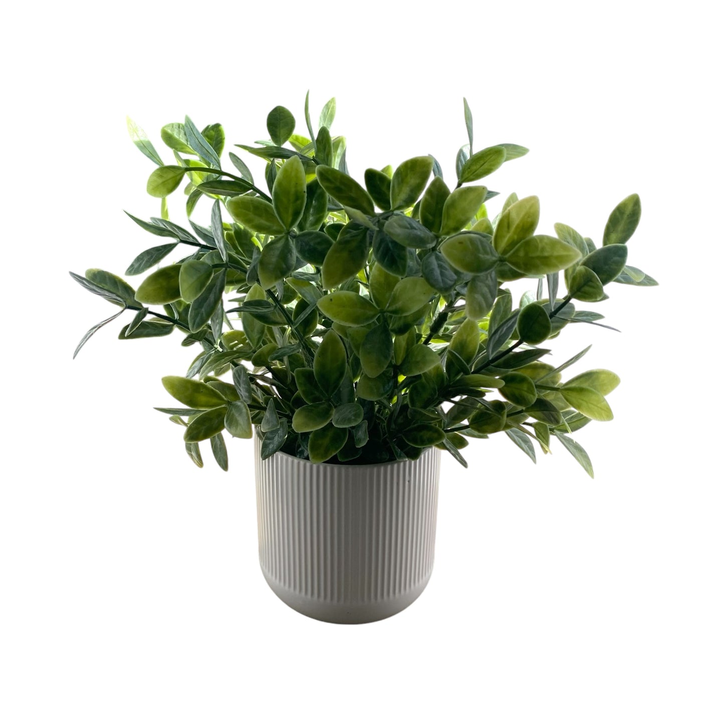 Medium Artificial Plant with White Pot