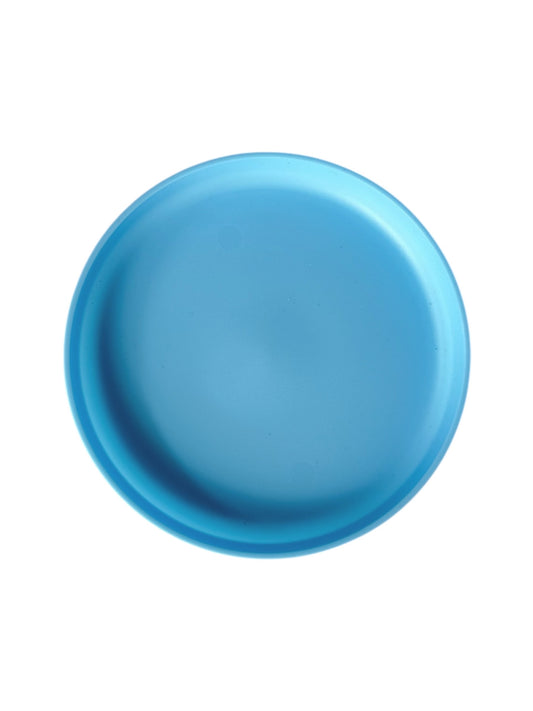 Blue Plastic Lunch Plate
