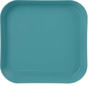 Plastic Plate