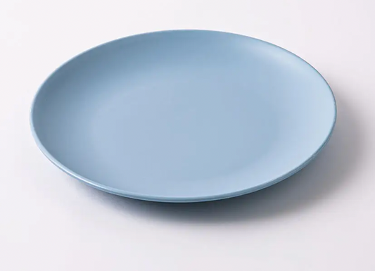 Blue Plastic Dinner Plate