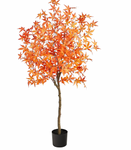 Fall Tree