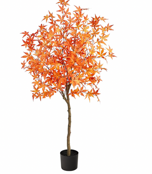 Fall Tree