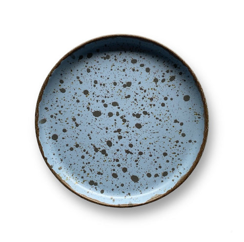 Blue Speckled Plate