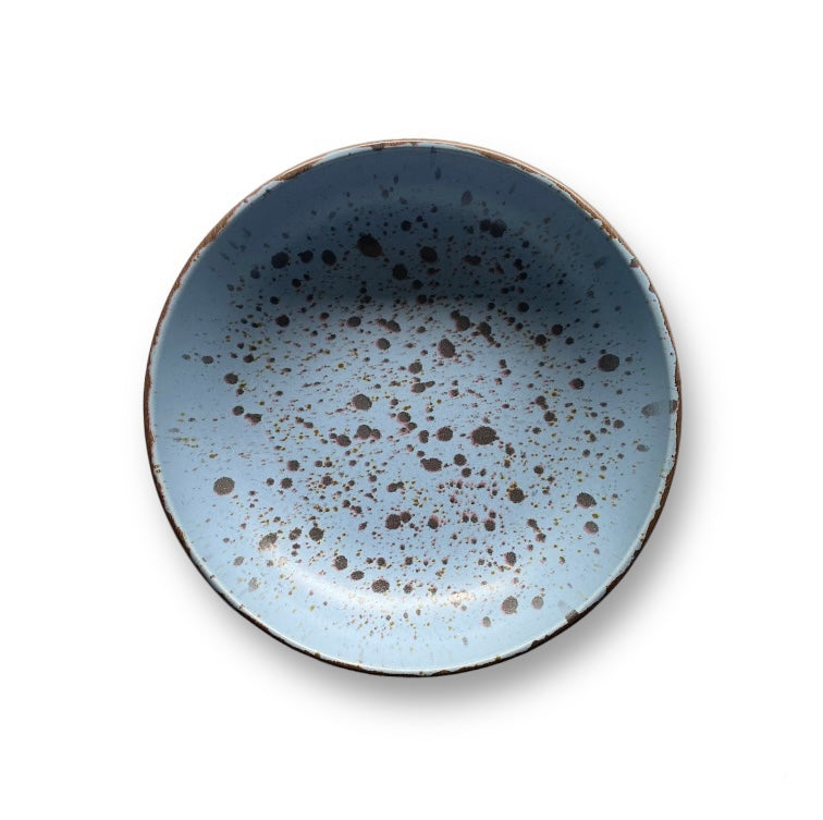 Blue Speckled Bowl