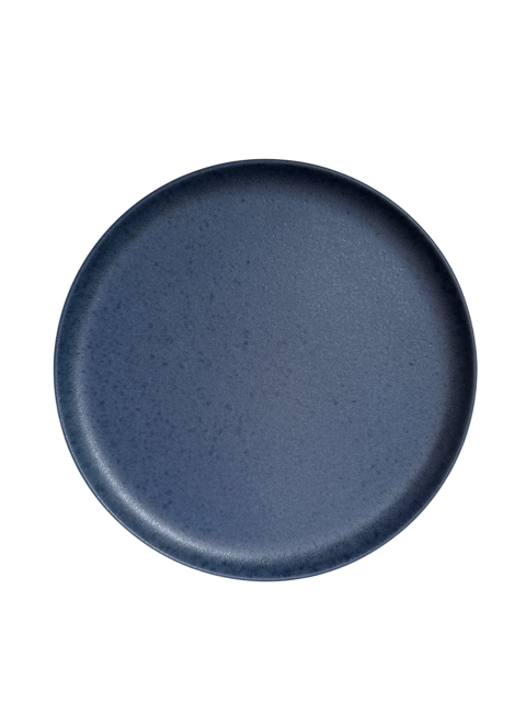Navy Matte Dinner Plate