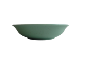 Green Small Plastic Bowl