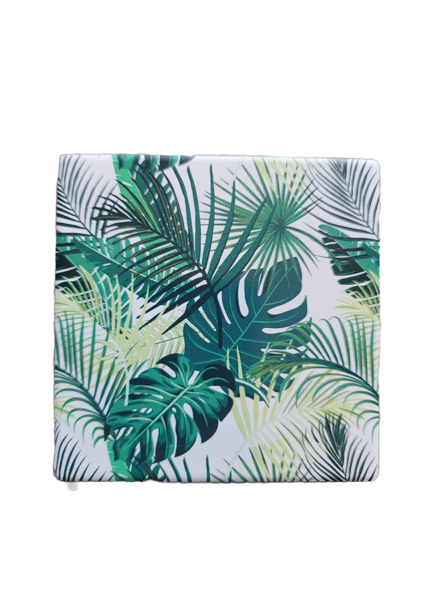Topical Ceramic Coaster