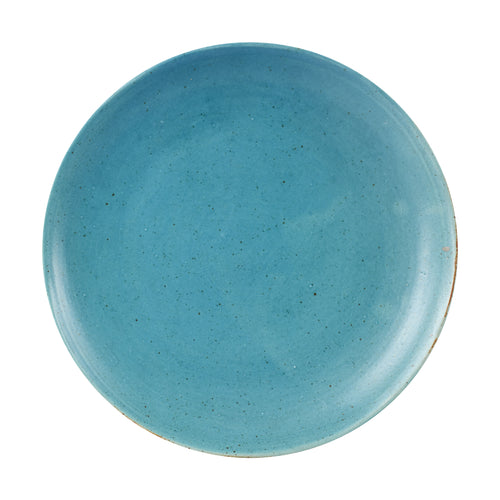 Lg Blue Speckled Plate