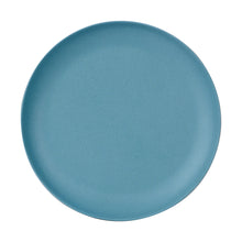 Md Light Blue Shallow Plate