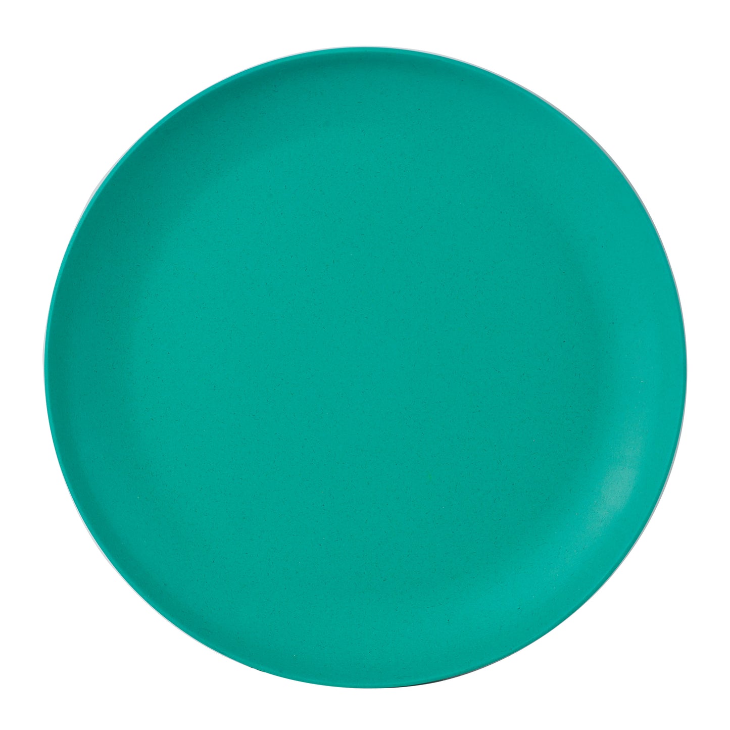 Teal Matte Plastic Plate