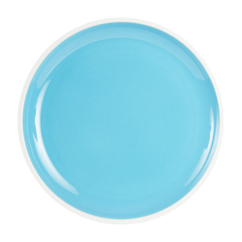 Lg Light Blue Plate With White Rim
