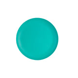 Teal Matte Plastic Plate