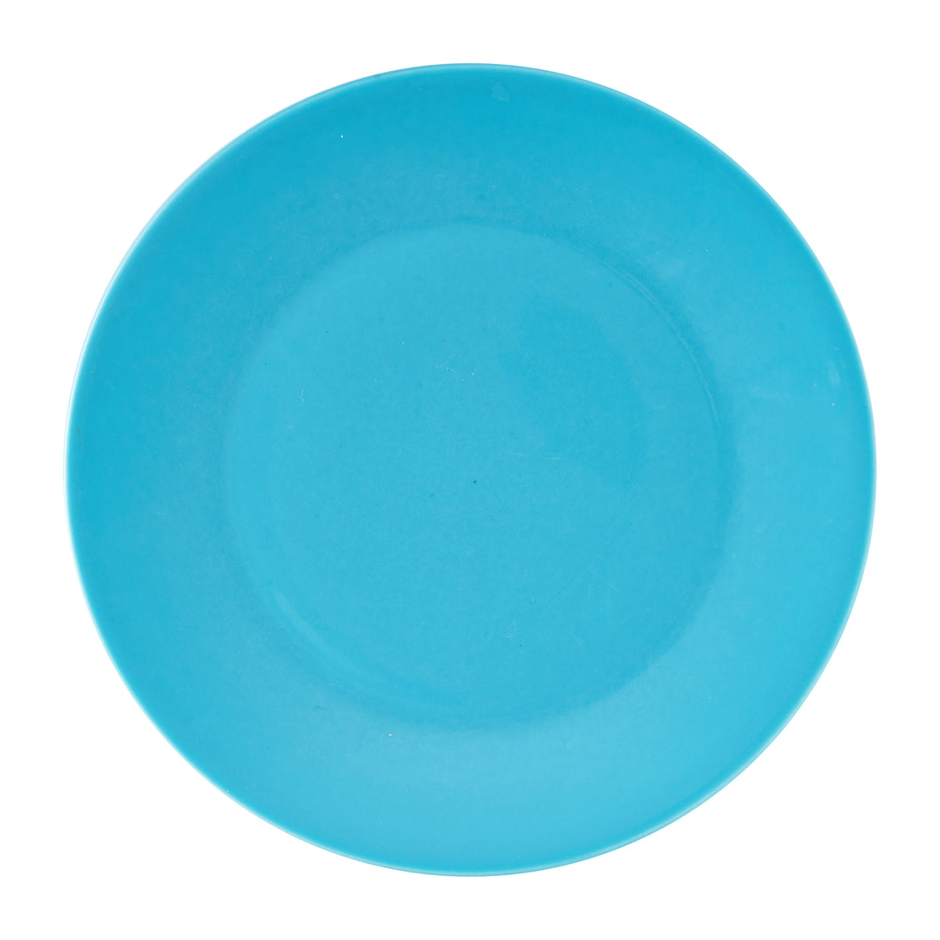 Lg Bright Light Blue Plate