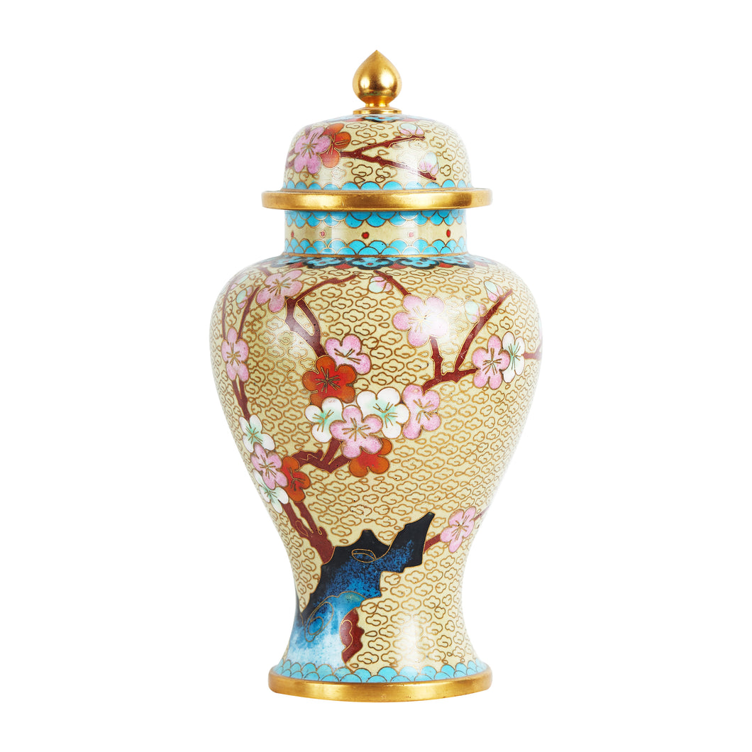 Multi Colour Vase with Lid