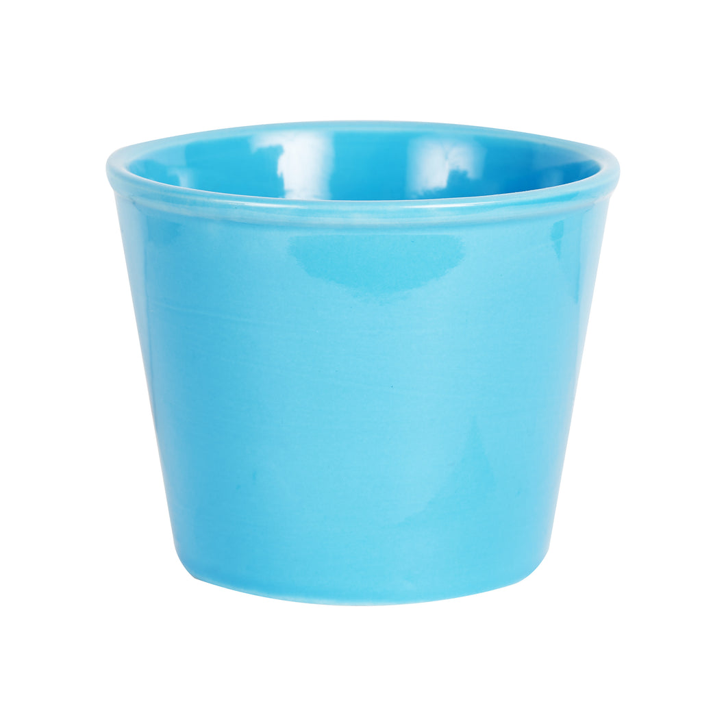 Blue Flower Pot