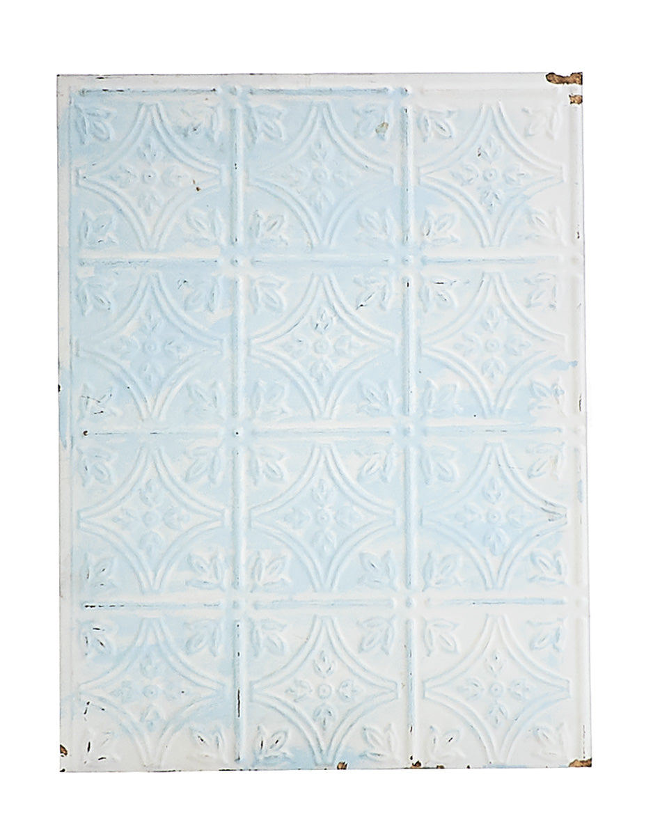 Sm White/Blue Plastic Panel
